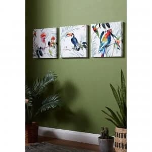 Set of 3 Tropical Amazon Birds Printed Canvas