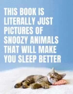 this book is literally just pictures of snoozy animals that will make you s