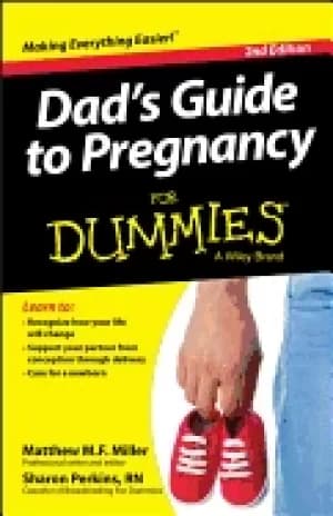 dads guide to pregnancy for dummies