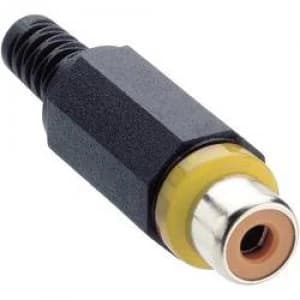 RCA connector Socket straight Number of pins 2 Yellow Lumberg XKTO 1