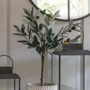 Crossland Grove Olive Tree Small 220X220X600Mm