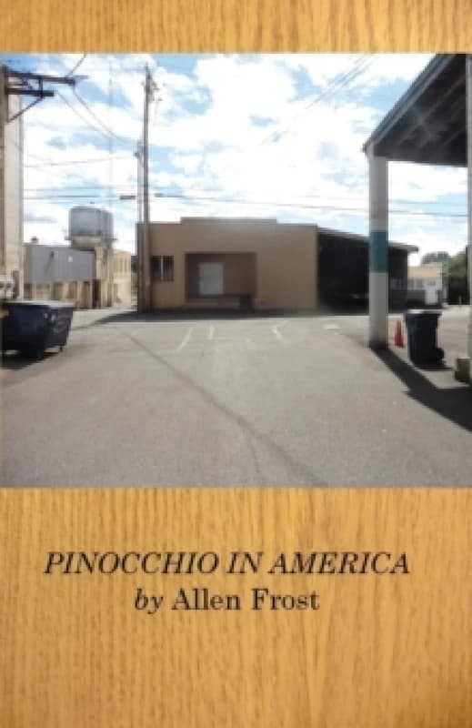 Pinocchio in America Paperback / softback