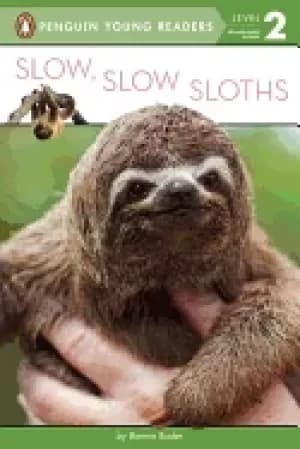 slow slow sloths