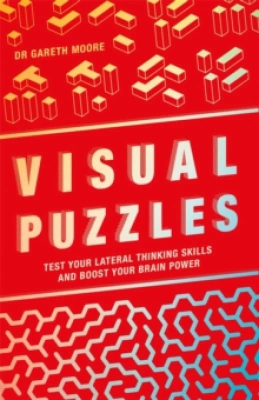 Visual Puzzles Paperback / softback