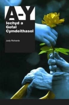 Llawlyfr a I Y Cyflawn by Judy Richards Paperback
