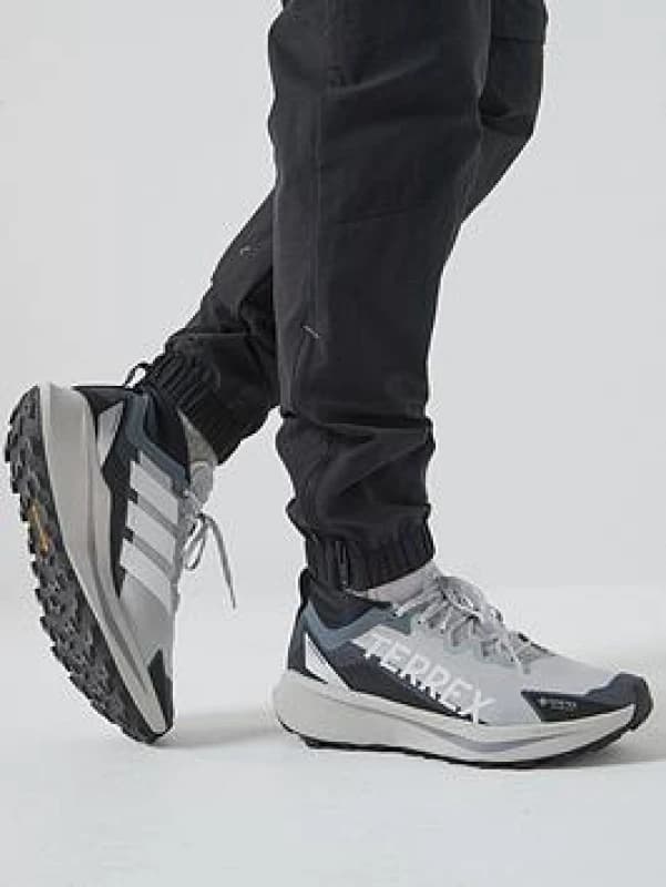 Trail running shoes adidas Terrex Agravic GTX Gris Male 39 1/3