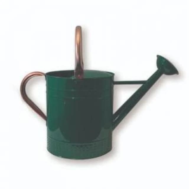 Kew Gardens Metal Watering Can 9LWCKEW Colour: Racing Green