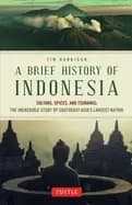 brief history of indonesia sultans spices and tsunamis the incredible story