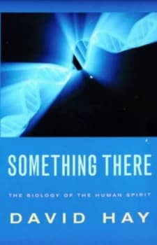 Something There by David Hay Paperback