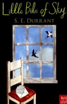 Little Bits of Sky by S. E Durrant Paperback