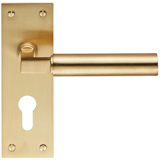 Loops PAIR Round Bar Handle on Slim Euro Lock Backplate 150 x 50mm Satin Brass Metallics
