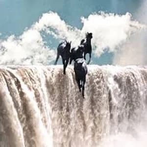 Lean Year - Lean Year Vinyl