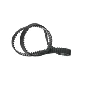 RIDEX Timing Belt Teeth Quant.: 129 306T0095 Cam Belt,Toothed Belt FORD,MAZDA,FORD USA,FOCUS (DAW, DBW),FOCUS Kombi (DNW)
