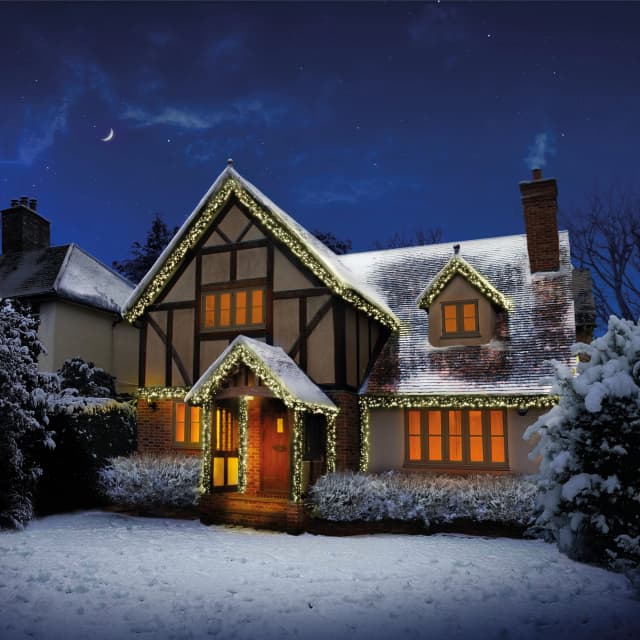 Premier Decorations Premier 3000 LED MultiAction Cluster Lights Plastic