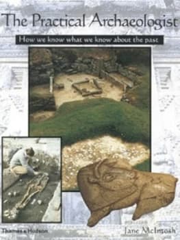 The Practical Archaeologist by Jane Mcintosh Paperback