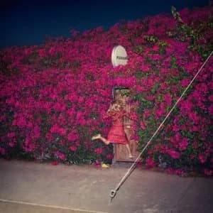 Pleasure by Feist CD Album