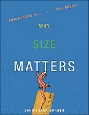 why size matters from bacteria to blue whales