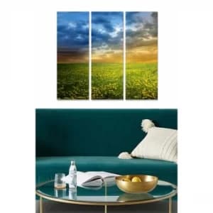 MDF79640191 Multicolor Decorative MDF Painting (3 Pieces)