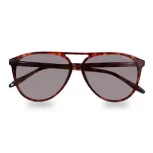 Hackett 3338 S/gls 99 - Brown