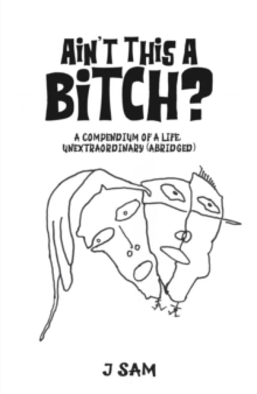 Ain't This a Bitch? A Compendium of a Life, Unextraordinary (Abridged) Paperback / softback