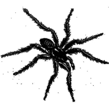 Various Artists - Tarantismo Odyssey Of An Ital Vinyl