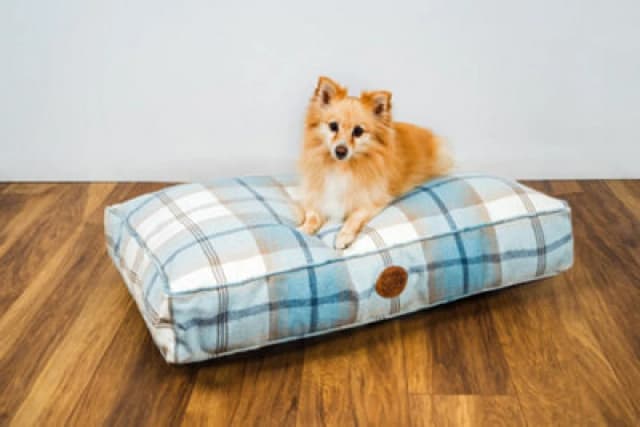 Snug & Cosy Pets Snug And Cosy Highland Bluebell Lounger 90Cm X 60Cm