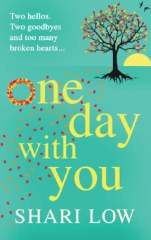 One Day With You : The MASSIVE chart-topping phenomenon from Shari Low Hardback