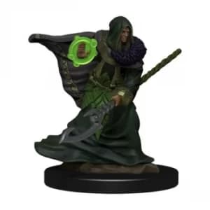 D&D Icons of the Realms Premium Figures (W4) Elf Druid Male