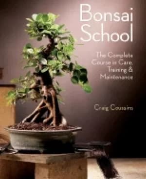bonsai school