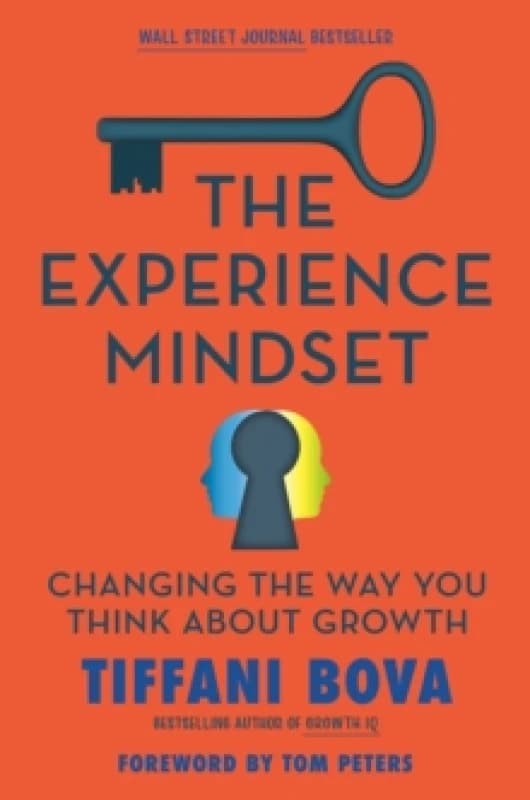 The Experience Mindset. Hardback. By Tiffani Bova Books
