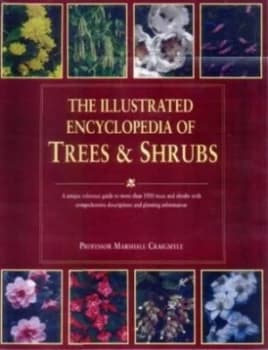 The Illustrated Encyclopedia of Trees and Shrubs by Allen J Coombes and Justyn Willsmore Hardback