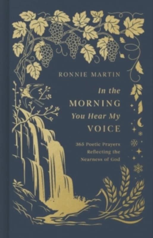 In the Morning You Hear My Voice. Hardback. By Ronnie Martin Books
