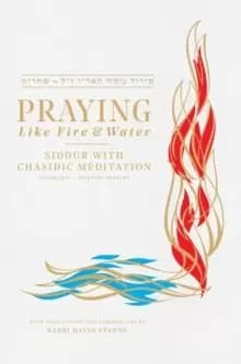 Praying Like Fire and Water : Siddur with Chassidic Meditation