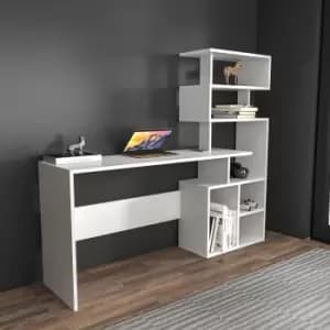 Next Computer and Study Desk