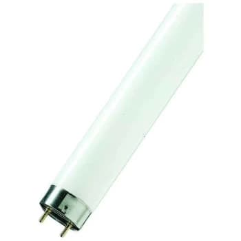 Fluorescent 6ft T8 Tube 70W G13 Activa Full Spectrum F70W 72 6500K Daylight 1778mm Length 965 2-Pin Light - Sylvania