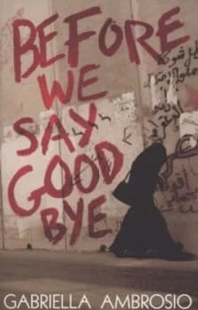 Before We Say Goodbye by Gabriella Ambrosio Paperback