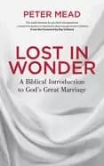lost in wonder a biblical introduction to gods great marriage