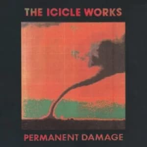 Permanent Damage by The Icicle Works CD Album