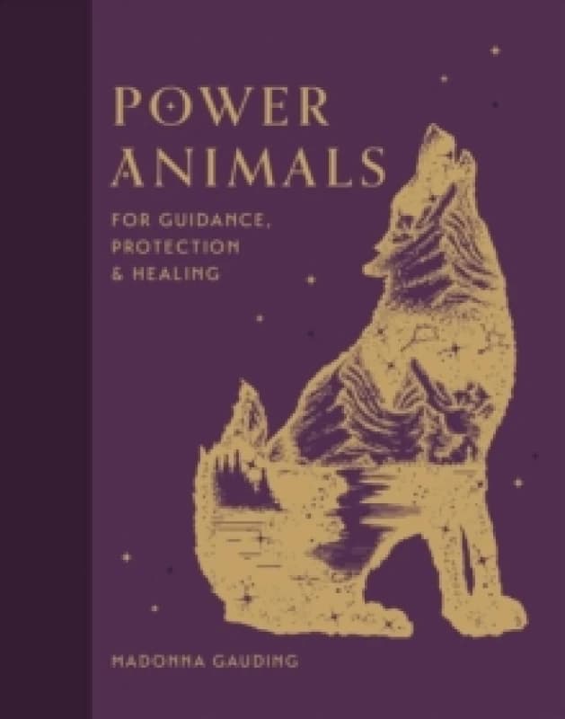 Power Animals : For Guidance, Protection and Healing Hardback