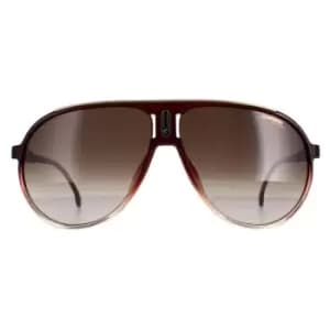 Aviator Burgundy Shade Brown Gradient Champion 65/N