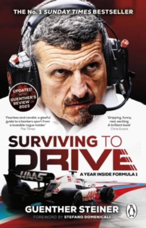 Surviving to Drive : A Year Inside Formula 1 Paperback / softback
