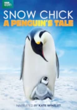 Snow Chick: A Penguins Tale