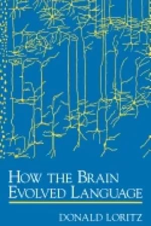 how the brain evolved language