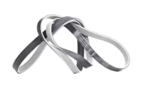 SKF V-ribbed belt VKMV 6PK2196 Serpentine belt,Auxiliary belt MERCEDES-BENZ,FORD,JAGUAR,C-Klasse T-modell (S203),C-Klasse Limousine (W202)