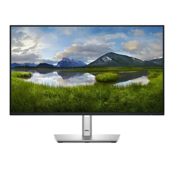 Dell 24" P2425H Full HD IPS LCD Monitor
