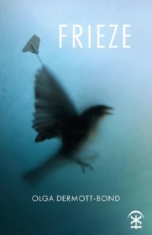 Frieze Paperback / softback
