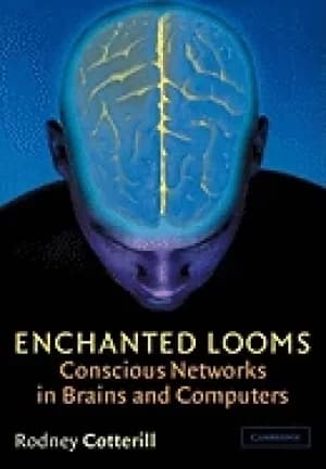 enchanted looms conscious networks in brains and computers