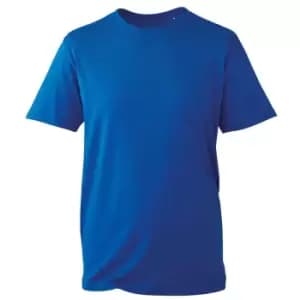 Anthem Mens Organic T-Shirt (4XL) (Royal Blue)