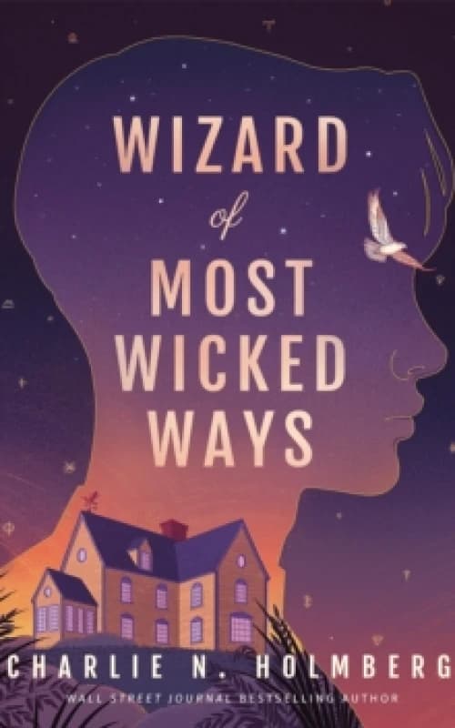 Wizard of Most Wicked Ways Paperback / softback