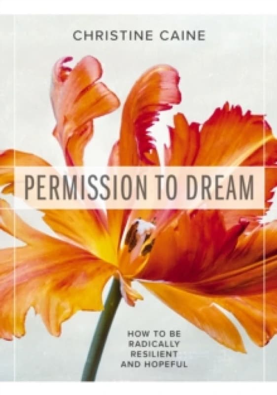 Permission to Dream : How to be Radically Resilient and Hopeful Paperback / softback